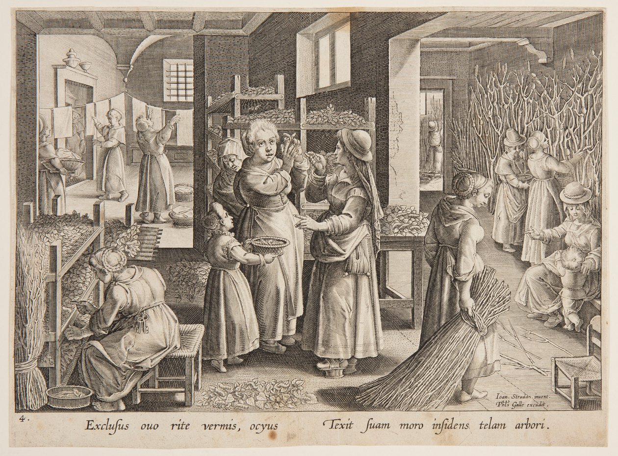 Füttern von Maulbeerblättern an die Seidenraupen von after Jan van der Straet, called Stradanus