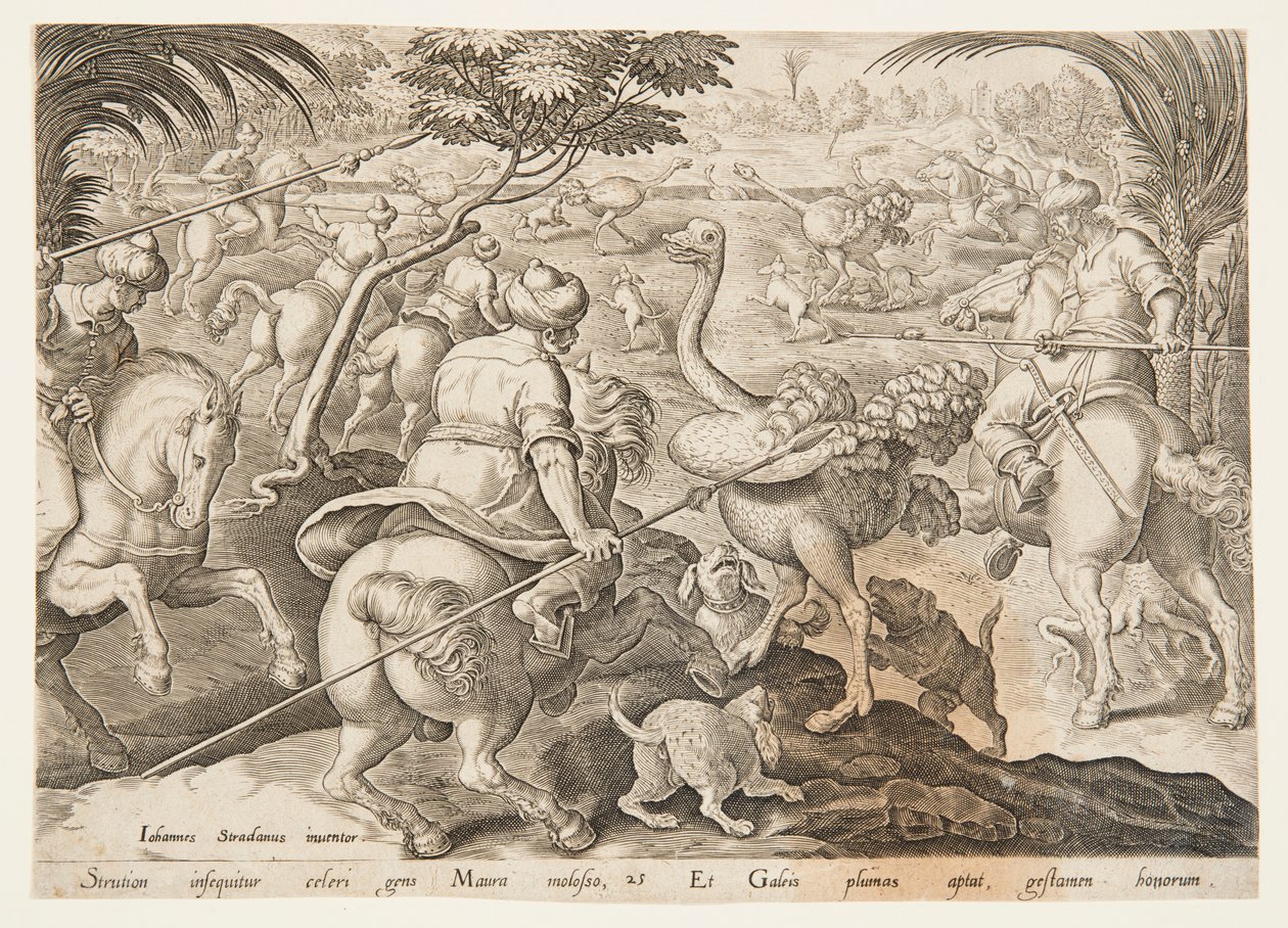 Die Straußenjagd von after Jan van der Straet, called Stradanus