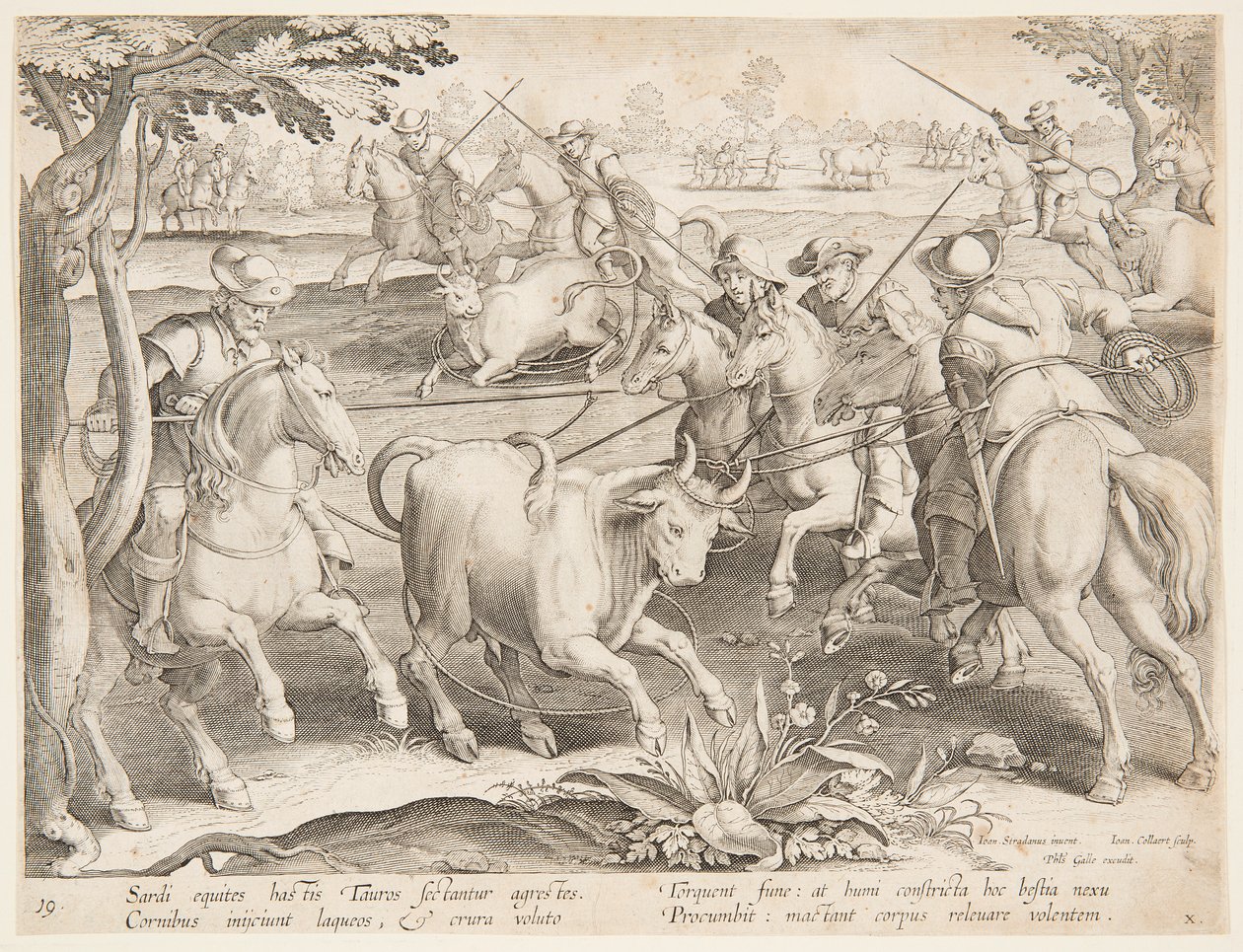 Wilde Bullen fangen von after Jan van der Straet, called Stradanus