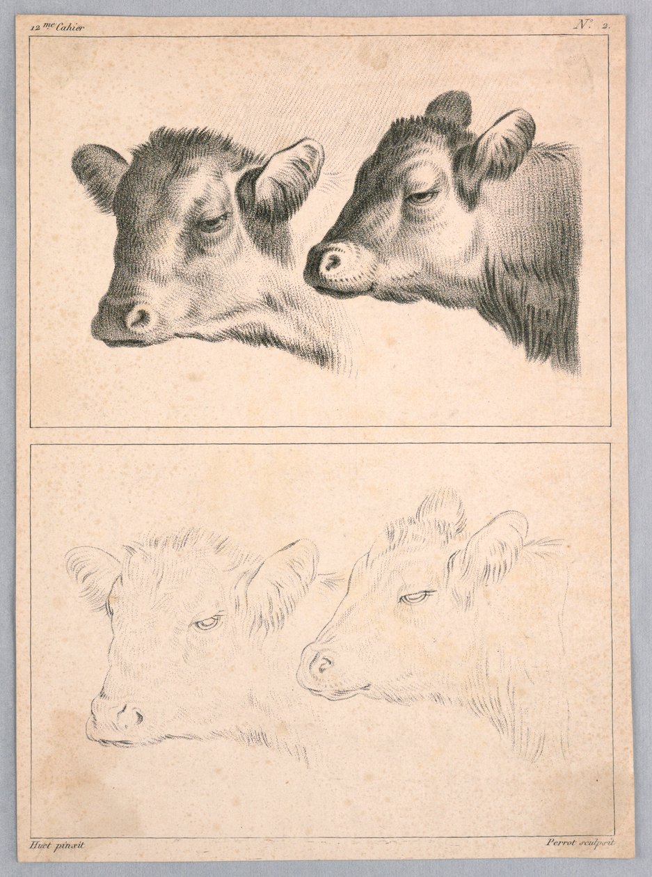 Zwei Kuhköpfe, Platte Nr. 2 aus dem 12me Cahier d