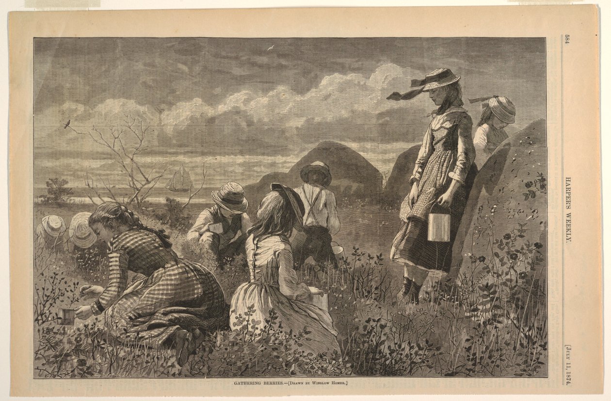 Beeren sammeln von Winslow Homer