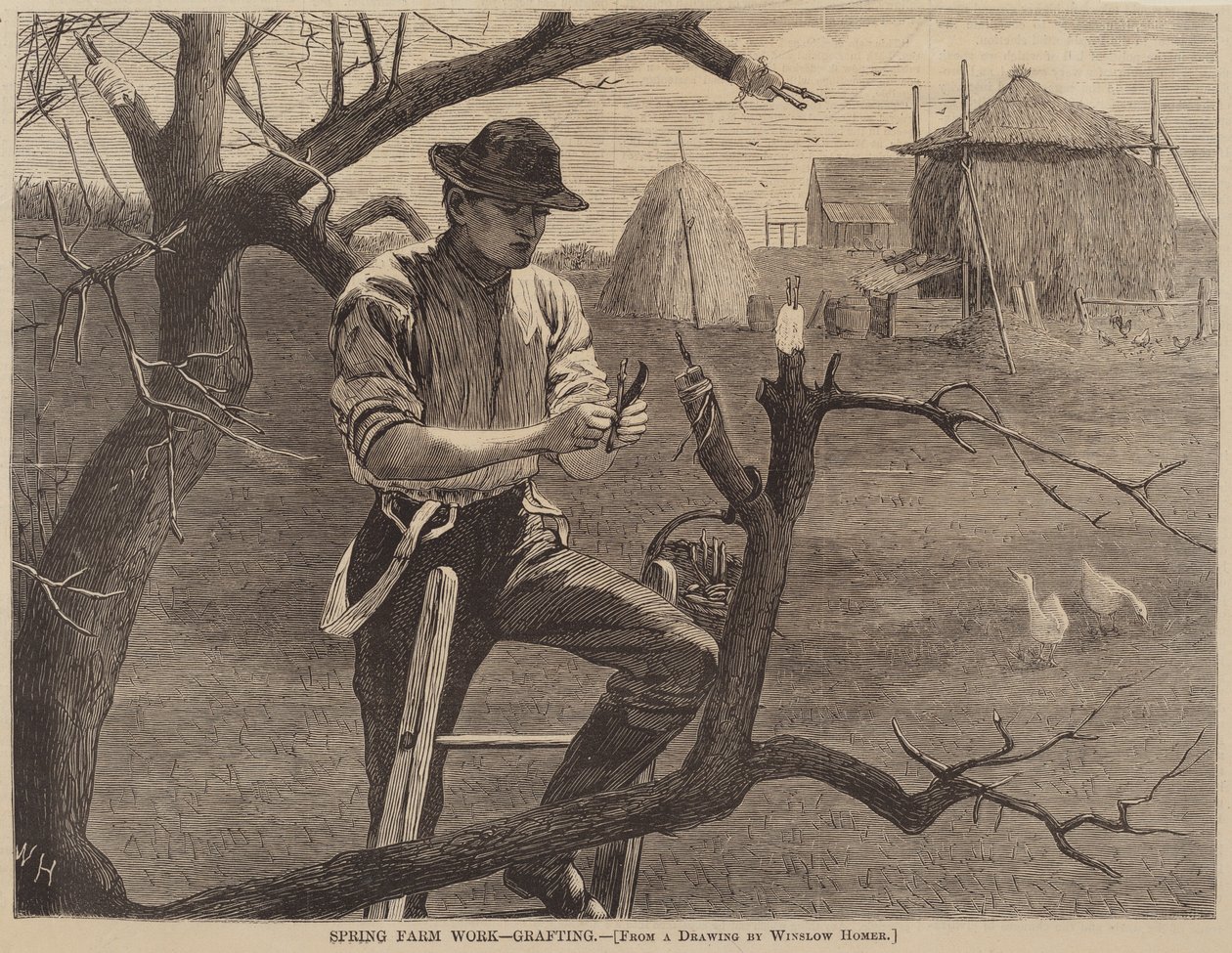 Frühjahrsarbeit auf dem Bauernhof - Pfropfen von Winslow Homer