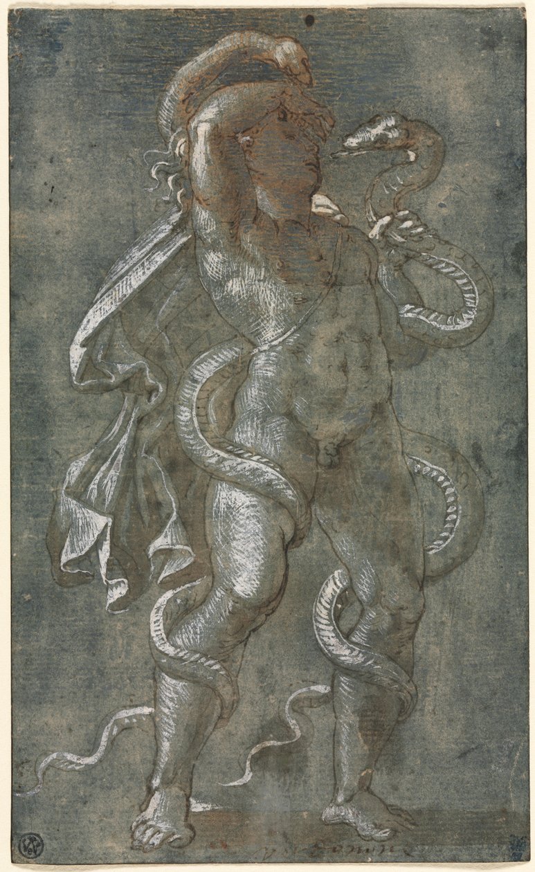 Mann, von zwei Schlangen umschlungen von attributed to Giovanni Antonio da Pordenone