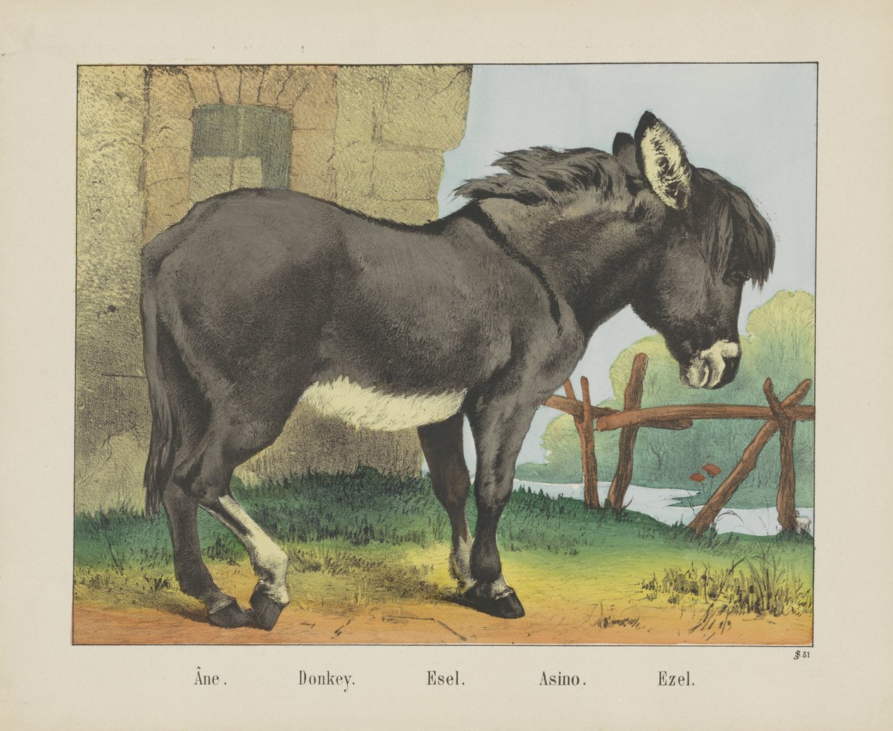 Esel von firma Joseph Scholz