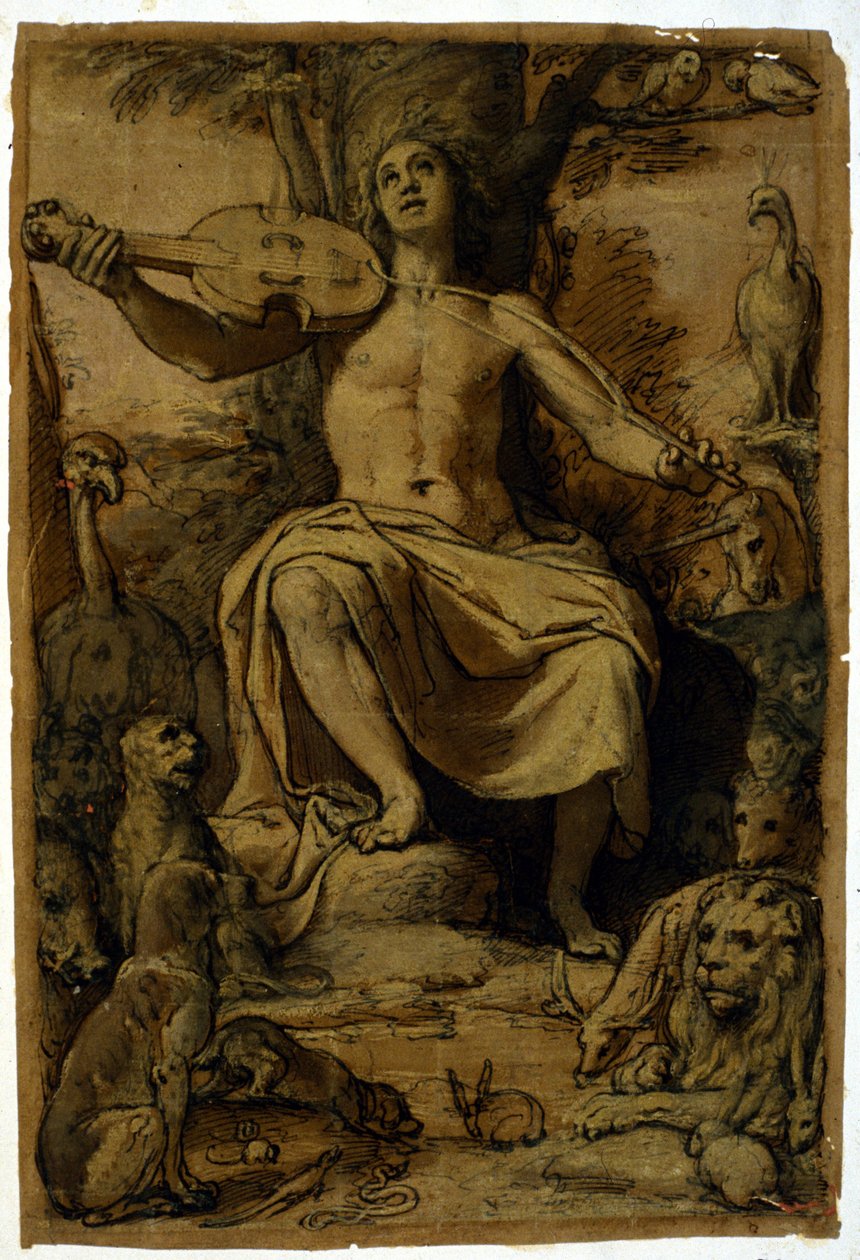 Orpheus verzaubert die Tiere mit der Musik einer Geige. Zeichnung von Federico Zuccari (1542 - 1609) von or Zuccaro Federico Zuccari