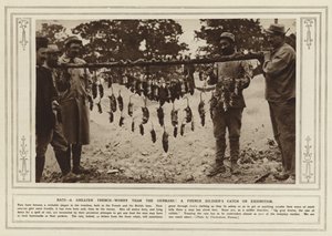 Ratten, eine größere Schützengraben-Plage als die Deutschen! Ein Fang eines französischen Soldaten zur Ausstellung (s/w Foto)