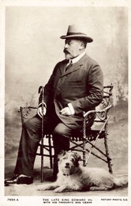 Der verstorbene König Edward VII. mit seinem Lieblingshund Caesar
