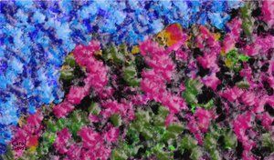 EFERVESCENCIA DE COLORES von Carol Sousa Cuello