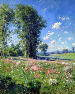 Schöne Aussicht an einem sonnigen Tag, Natur und Bäume von F. Abderrahim