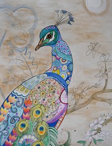 Stolzer Pfau