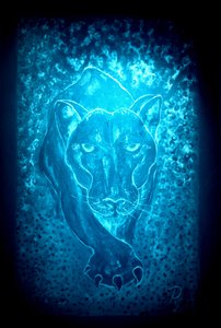The panther - blue