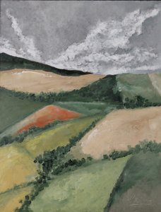 Mohnfeld von M. Vet