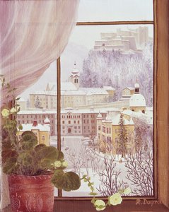 Blick aus dem Fenster auf Nonntal mit Festung