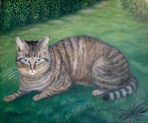 Die Katze Julia