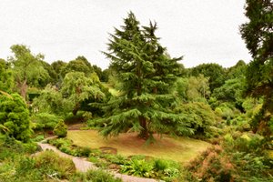 Natur Landschaft