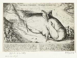 Druck von dem gestrandeten Wal bei Antwerpen, 2. Juli 1577 von A.B. van Deinse