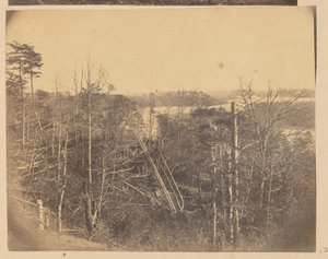 Landschaft mit Bäumen und Wasser