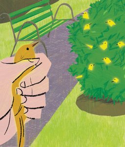 Ein Vogel in der Hand..., 2016