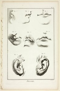 Design: Gesichtsanatomie aus der Encyclopédie von A. J. Defehrt