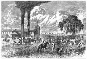 Zuckerplantage, New Orleans, 1870 von A. R. Ward