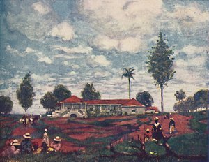 Eine Kaffeefazenda, 1916 von A. S. Forrest
