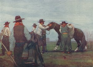 Gauchos brechen ein junges Pferd, 1916 von A. S. Forrest
