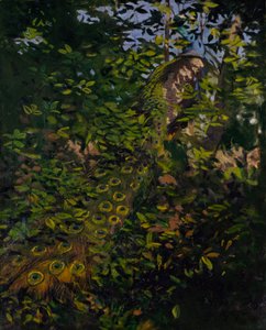 Pfau im Wald, Studie für das Buch Concealing Coloration in the Animal Kingdom von Abbott Handerson Thayer
