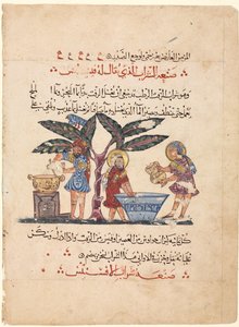 Drei Ärzte bereiten Medizin vor, aus einer arabischen Übersetzung der Materia Medica von Dioscorides von Abdallah ibn al Fadl (Iraq)
