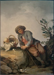 Eierbauer