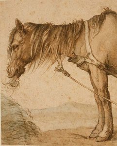 Ein Pferd frisst Heu, ca. 1600-10 von Abraham Bloemaert