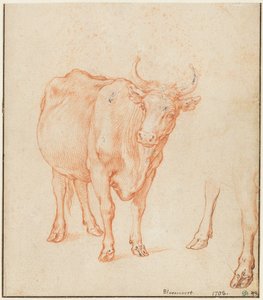 Studien einer Kuh von Abraham Bloemaert