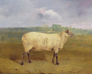 Ein Preis-Schaf mit Monogramm 