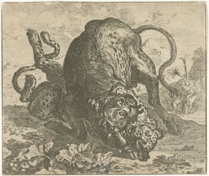 Leopard und Stier