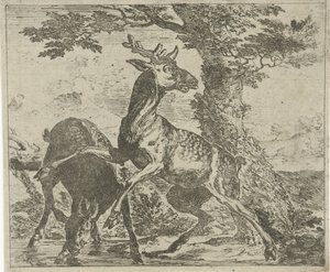 Aufgeschreckte Hirsche