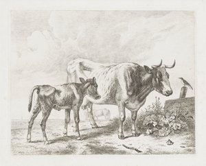 Kuh und ein Kalb auf einer Weide von Abraham Hendrik Winter
