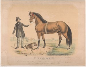 Pferd von W.L. de Jager aus Wartena (De Jonker) von Abraham Hendrik Winter