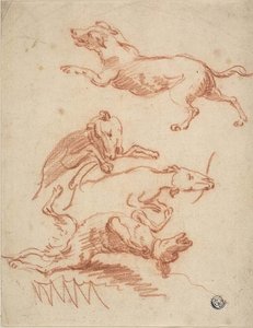 Skizzen von herumtollenden Hunden von Abraham Hondius