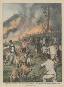 Die großen Waldbrände aufgrund der Dürre, weite Waldflächen in Flammen