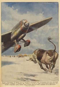 Der Stier und das Flugzeug