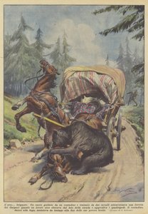 Der Bärenräuber