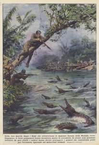 Auf ihrem Marsch entlang der Flüsse, die die riesigen Wälder Malaysias durchqueren