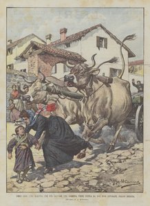 Demütige Helden, eine Lehrerin, die ein Mädchen retten wollte, wird von zwei wütenden Ochsen getötet, bei Brescia