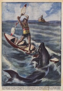 Ein Kampf mit einem Hai