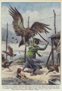 Eine Frau gegen einen Adler