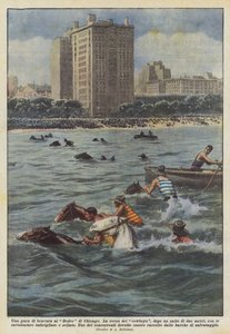 Ein Geschicklichkeitswettbewerb beim Rodeo in Chicago