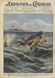 Ein junger Schwimmer musste einen verzweifelten und schrecklichen Kampf gegen einen Hai führen