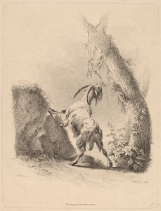 Ziege in einer Landschaft, 1805