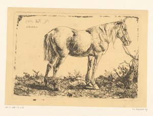 Pferd an einem Baum von Adam von Bartsch