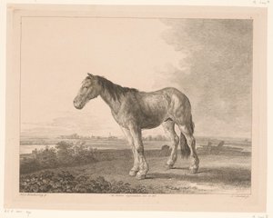 Stehendes Pferd in einer Flusslandschaft von Adam von Bartsch