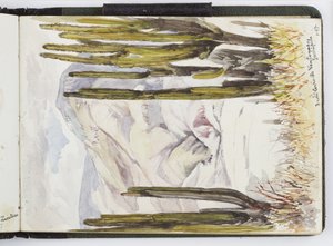Skizzenbuch mit Aquarellen, Zeichnungen und Notizen, Mexiko, 1896-1898 von Adela Breton